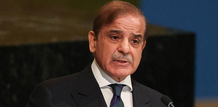 افغانستان فوری طور پر دہشتگرد تنظیموں کو لگام ڈالے، وزیراعظم