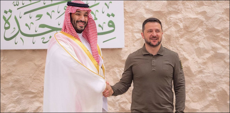 عرب لیگ اجلاس میں یوکرینی صدر زیلنسکی کی اچانک آمد