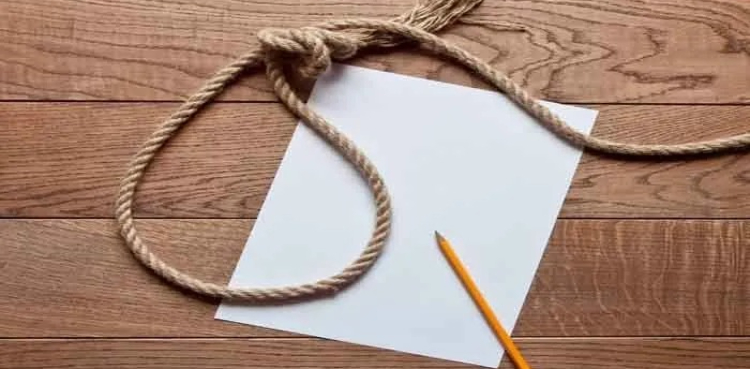 ماں کی موت کا صدمہ، بیٹے نے بھی زندگی کا خاتمہ کرلیا