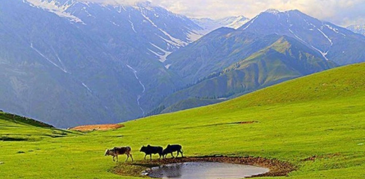 سیاحتی مقام ناران کو آمدورفت کے لئے کھول دیا گیا