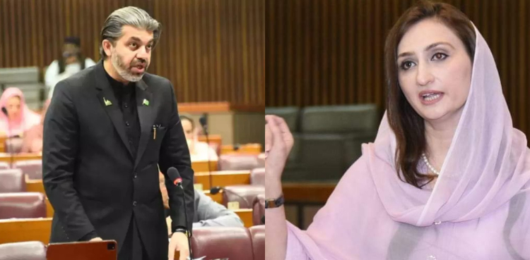 عدالت کا علی محمد خان اور ملیکہ بخاری کو فوری رہا کرنے کا حکم
