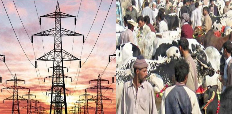 عیدالاضحیٰ پر لوڈشیڈنگ ہوگی یا نہیں؟