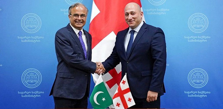 پاکستان اور جارجیا کے درمیان دوطرفہ سیاسی مشاورت کا پہلا دور