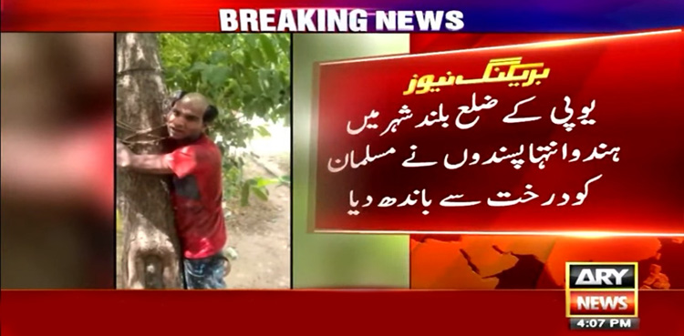 بھارت : مسلمان نوجوان کو درخت سے باندھ کر بہیمانہ تشدد