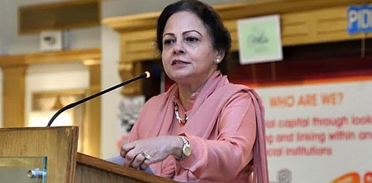 پلان بی زیرِ غور نہیں، آئی ایم ایف پروگرام کی تکمیل کیلیے پُرعزم ہیں، عائشہ غوث پاشا