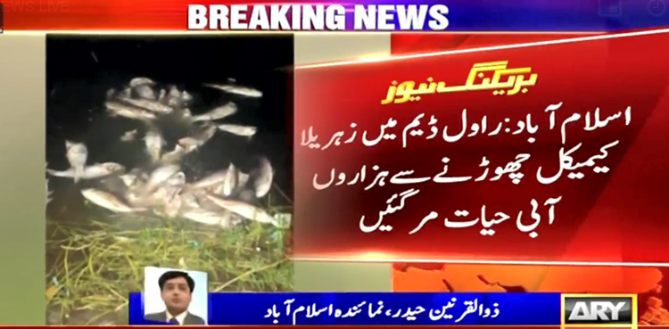 راول ڈیم میں زہریلا کیمیکل چھوڑنے سے ہزاروں آبی حیات مرگئیں