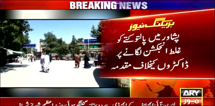 پالتو کتے کو غلط انجکشن لگانے پر ڈاکٹروں کے خلاف مقدمہ