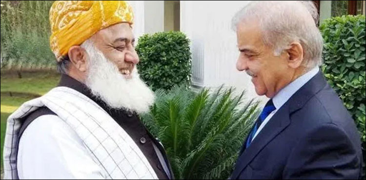 وزیر اعظم سے فضل الرحمان کی ملاقات، پی ڈی ایم سربراہی اجلاس بلانے کا امکان