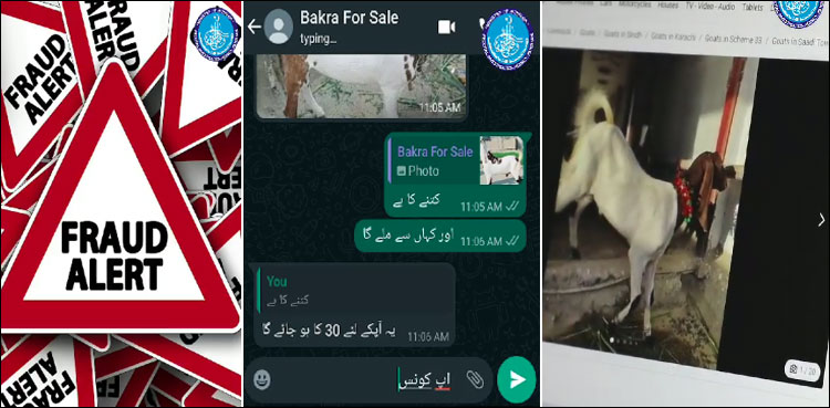 واٹس ایپ گروپس کے ذریعے قربانی کے سستے جانور لینے والے ہوشیار