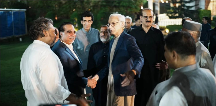 استحکام پاکستان پارٹی کا پرچم کیسا ہوگا؟