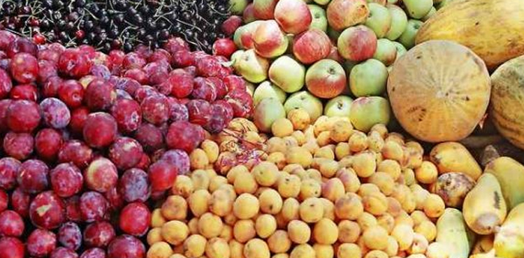 پھلوں کی برآمدات میں بڑی کمی ریکارڈ