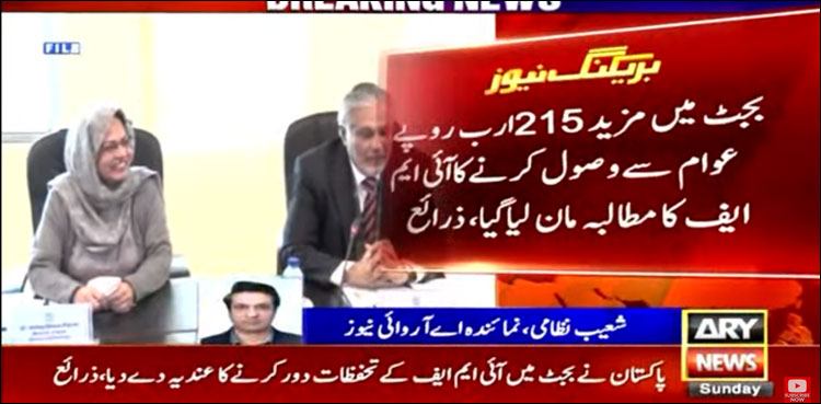 پاکستان نے بجٹ میں آئی ایم ایف کے تحفظات بھی دور کرنے کا عندیہ دے دیا
