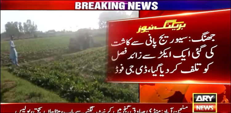 سیوریج کے پانی سے سبزیوں کی کاشت کا انکشاف