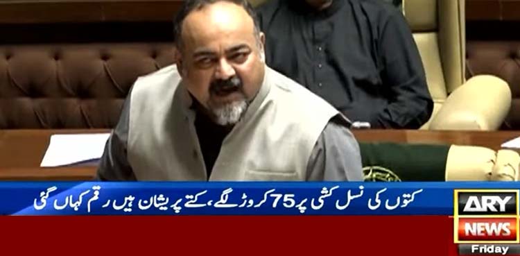 ’کتوں کی نسل کشی پر 75 کروڑ لگے، کتے پریشان ہیں رقم کہاں گئی‘