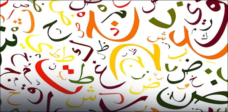 عدالتی فیصلے کے بعد کیا گاوری، توروالی اور گوجری زبان مردم شماری فارم میں جگہ پالے گی؟