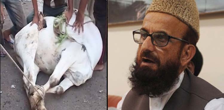 مفتی منیب