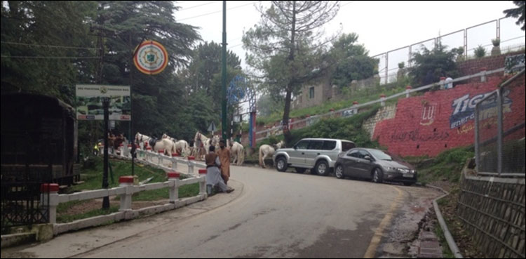 مری کشمیر پوائنٹ پر ٹورازم اسکواڈ اور گھڑ سواروں میں جھگڑا، 3 زخمی