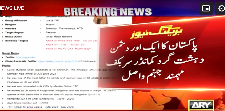 کمانڈر سربکف مہمند