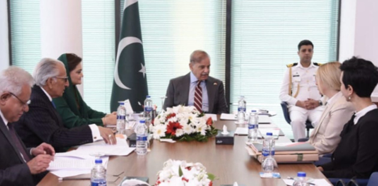 وزیراعظم سے ملاقات : ترکیہ کی معروف کمپنی لیماک ہولڈنگز کی چیئرپرسن جلد پاکستان کا دورہ کریں گی