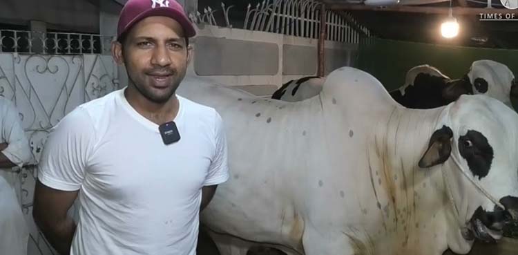سرفراز احمد