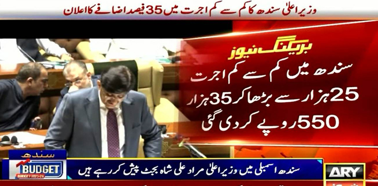 وزیراعلیٰ سندھ