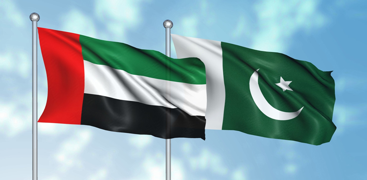 متحدہ عرب امارات پاکستان میں مزید سرمایہ کاری کرنے کو تیار