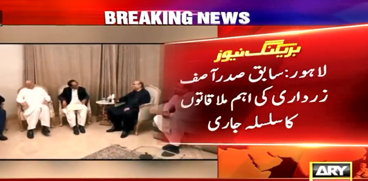 آئندہ انتخابات میں مل کر چلیں گے، آصف زرداری اور چوہدری شجاعت کا اتفاق