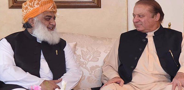 نواز شریف نے مولانا فضل الرحمان کے تحفظات دور کردیے