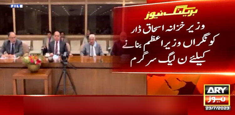(ن) لیگ اسحاق ڈار کو نگراں وزیر اعظم بنانے کیلیے سرگرم