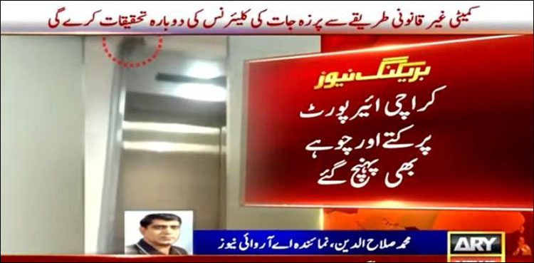 کراچی ایئرپورٹ پرسفر کرنے کے لیے چوہا اور کتا بھی پہنچ گئے