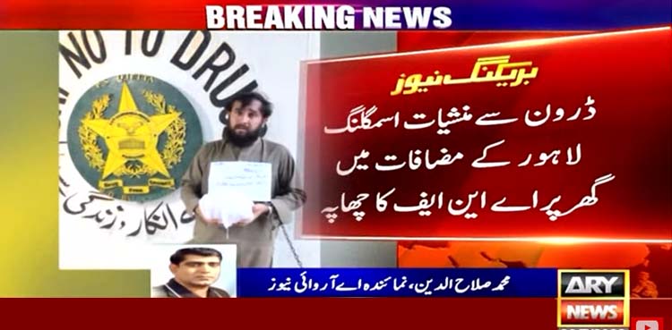 اے این ایف