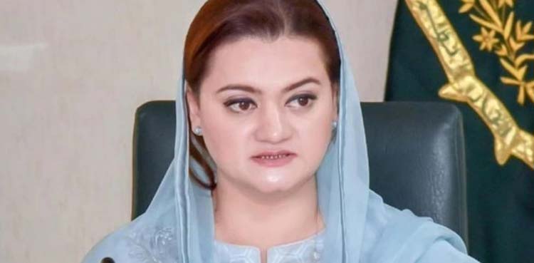 کس کی شکایتوں پر علی امین گنڈا پور کو ہٹایا گیا،  مریم اورنگزیب کا بڑا انکشاف