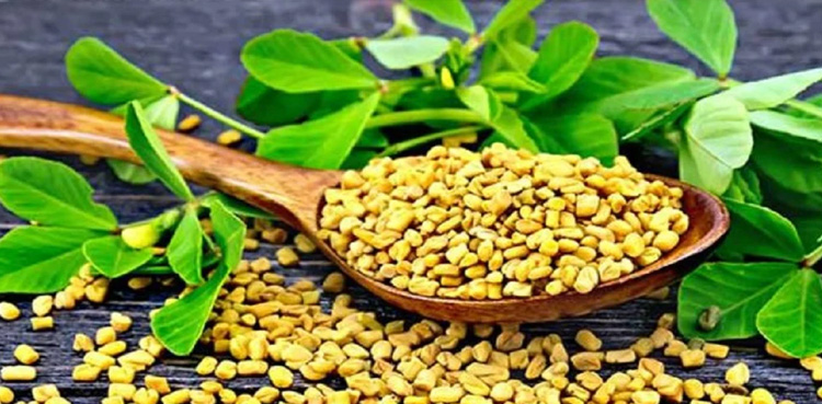 میتھی صحت کے لیے کتنی مفید ہے؟ جانیے
