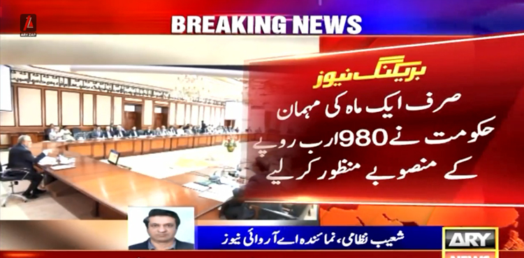 ایک ماہ کی مہمان حکومت نے980  ارب روپے کے منصوبے منظور کرلیے