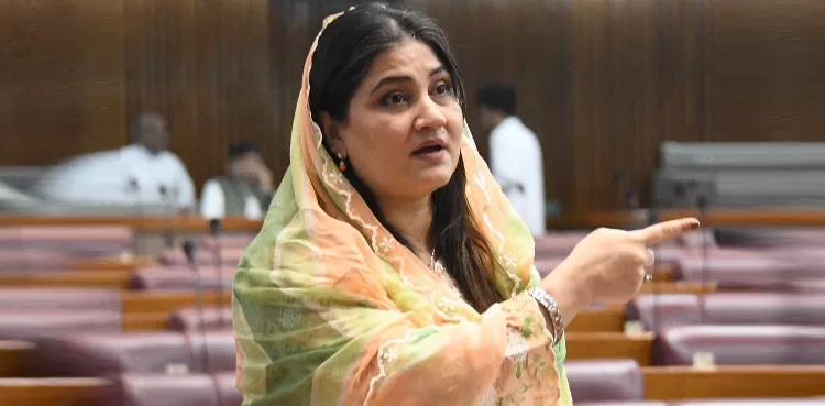 الیکشن کرانے کی ضرورت ہی نہیں، قرعہ اندازی کرلیں، سائرہ بانو