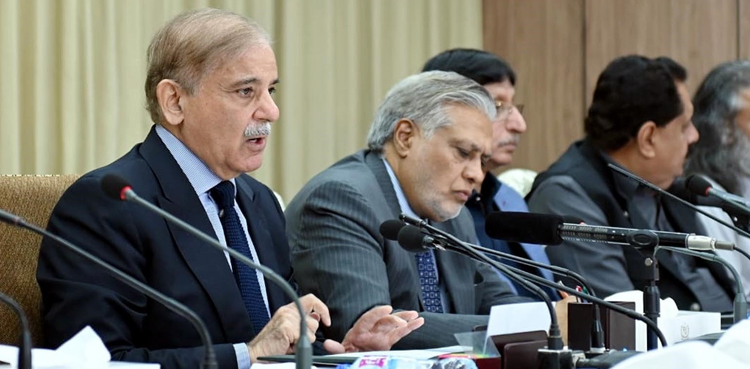 مہمان حکومت نے 110 ارب کے منصوبوں کی منظوری دے دی