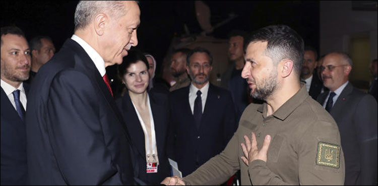 اردوان زیلنسکی ملاقات، روس کا رد عمل