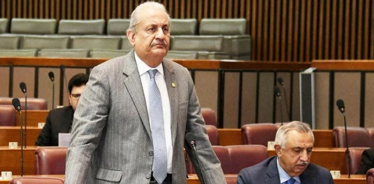 آرمی ایکٹ ترمیم بل: پیپلز پارٹی کے سینیٹر رضاربانی کا سینیٹ سے واک آؤٹ
