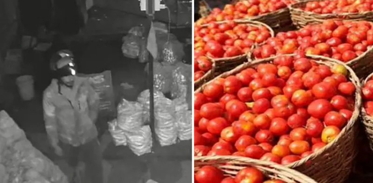 بھارت میں ٹماٹر چوری کی بڑی واردات، فوٹیج وائرل
