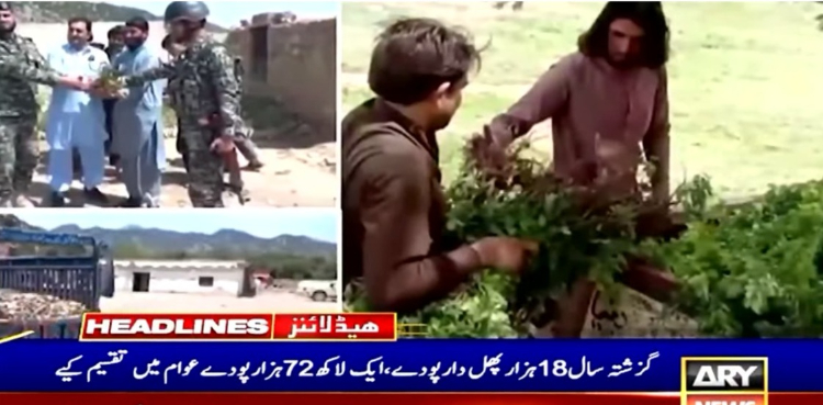 وادی تیراہ کی عوام پاک فوج،  ایف سی کی شجرکاری مہم کے اقدامات کی معترف