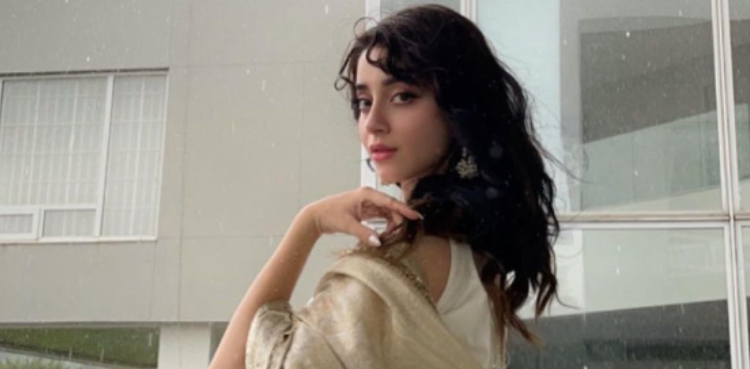 علیزے شاہ کی دلکش تصاویر کے سوشل میڈیا پر چرچے