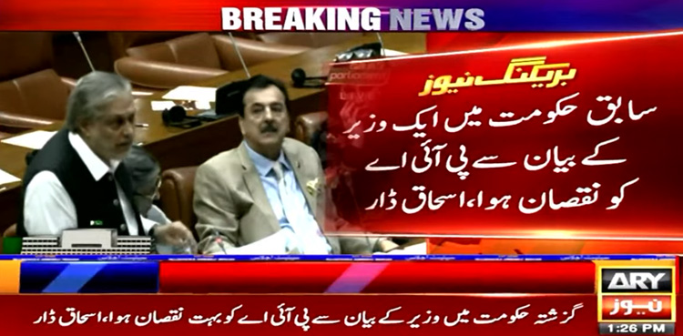 سابقہ حکومت میں وزیرکے بیان سے پی آئی اے کو بہت نقصان ہوا، اسحاق ڈار