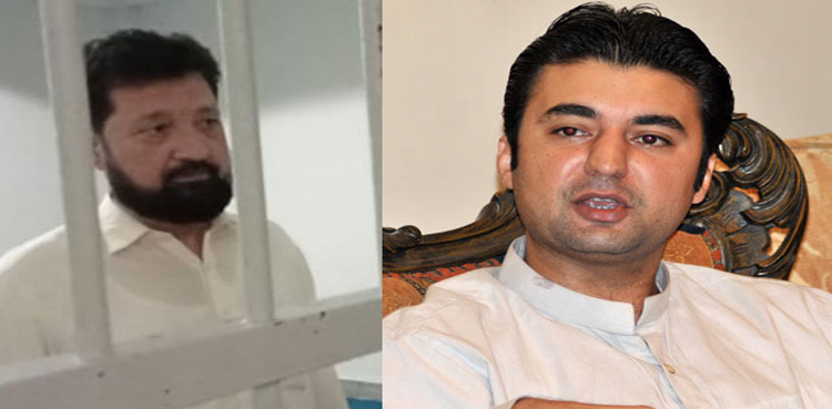 مراد سعید کے والد کو رہا کرنے کا حکم