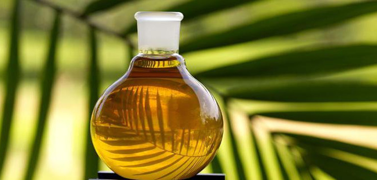 پام آئل کی طلب میں مزید اضافہ