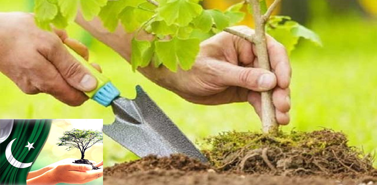 پاکستان بھرمیں مون سون شجرکاری مہم 2023 کا آغاز