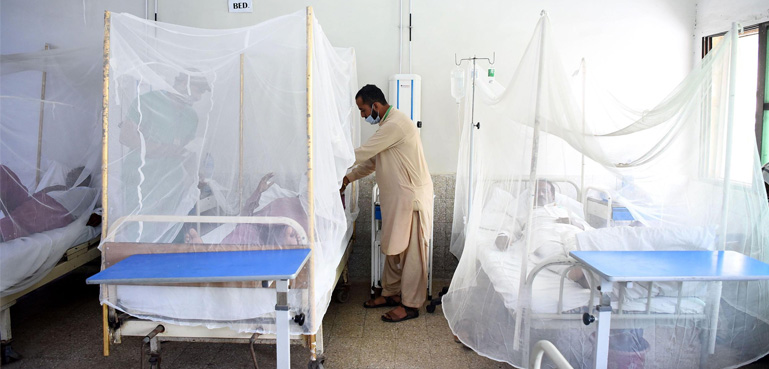 راولپنڈی، ڈینگی کے مریضوں کی تعداد میں مسلسل اضافہ ہونے لگا