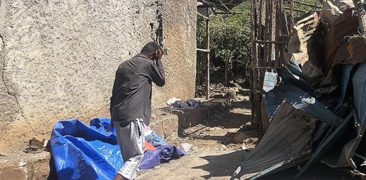 عالمی ادارہ صحت کا ایتھوپیا کے حالات پر اظہار تشویش