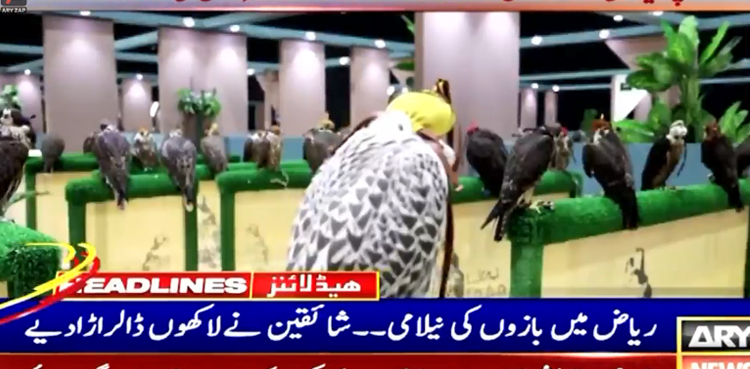 بازوں کی نیلامی