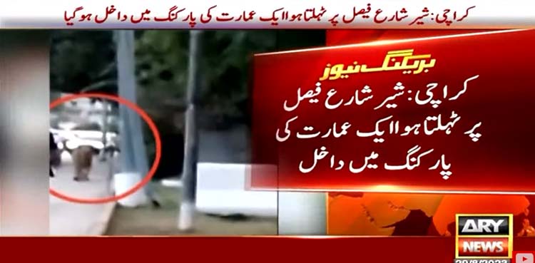 شیر سڑک پر آگیا
