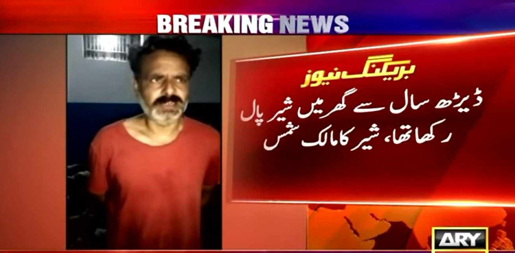 شیر کو ڈاکٹر کے پاس لے جا رہا تھا تو وہ بھاگ نکلا، مالک نے غلطی تسلیم  کرلی